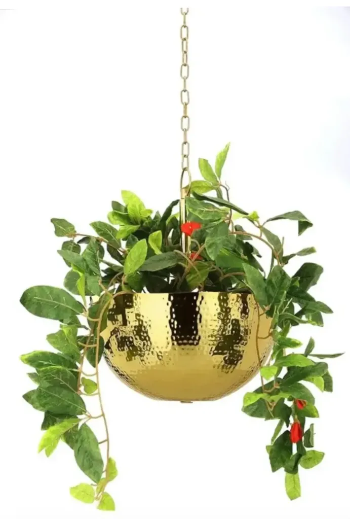 Hanging Planter Decor