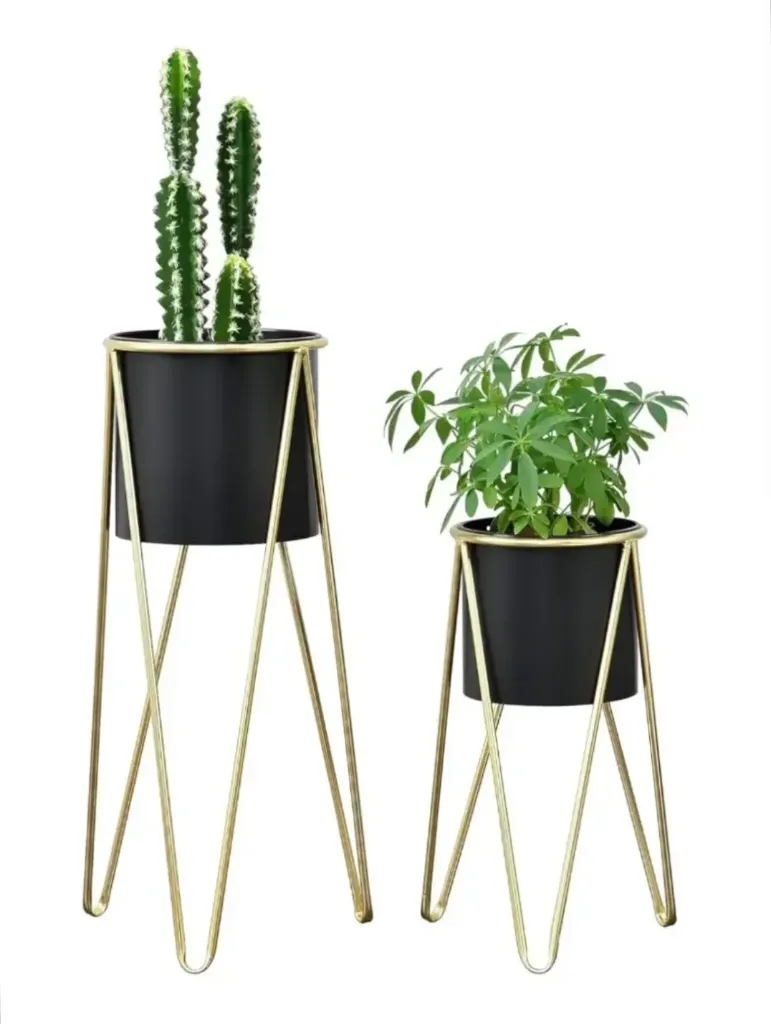 Planters Decor